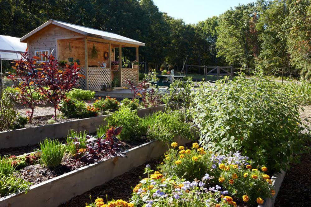 The Lodge At Woodloch Hawley Bagian luar foto